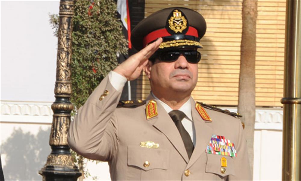 وزير الشباب والرياضة المصري ينفي إدارته لحملة السيسي الانتخابية