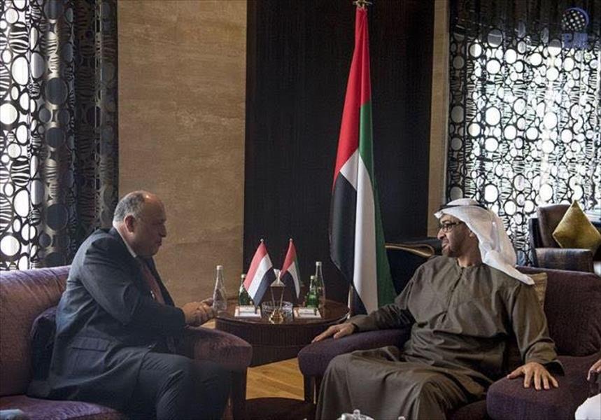 اتفاق مصري - إماراتي لتكثيف التشاور حول أزمات المنطقة ومكافحة الإرهاب