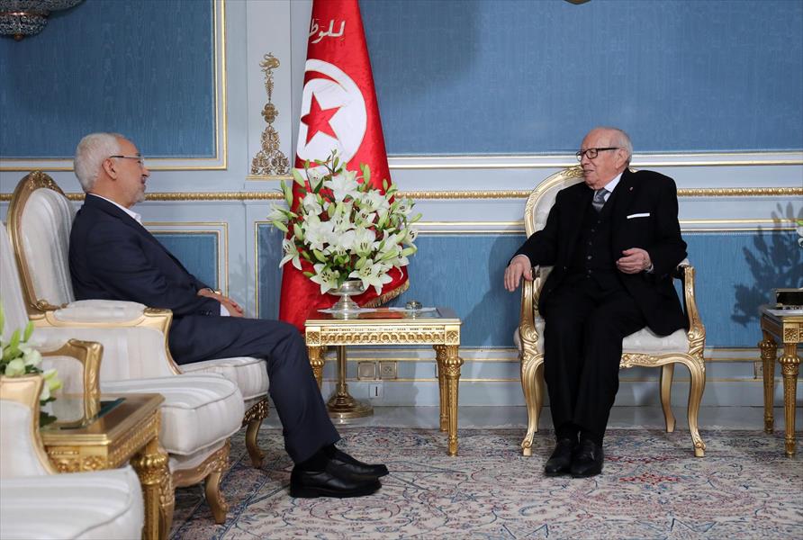 السبسي والغنوشي يناقشان الأوضاع الاقتصادية التونسية والأزمة الليبية