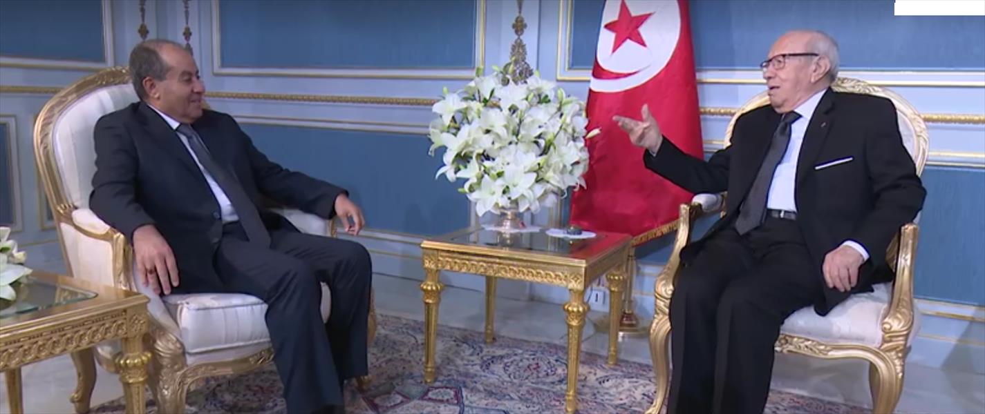 السبسي يبحث مع جبريل المبادرة التونسية وأوضاع الليبيين في تونس