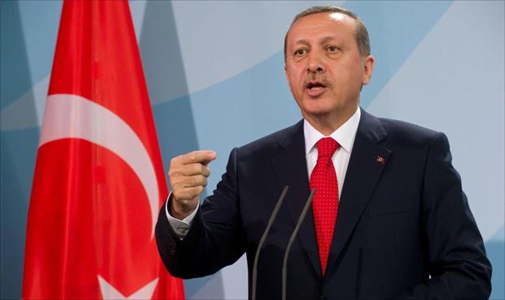 إردوغان يدعو إلى «منطقة آمنة» وحظر جوي في سورية