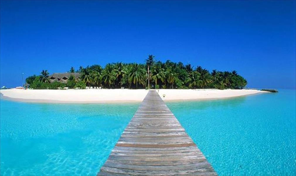 «الطلاق» يدخل جزر المالديف موسوعة «غينيس»