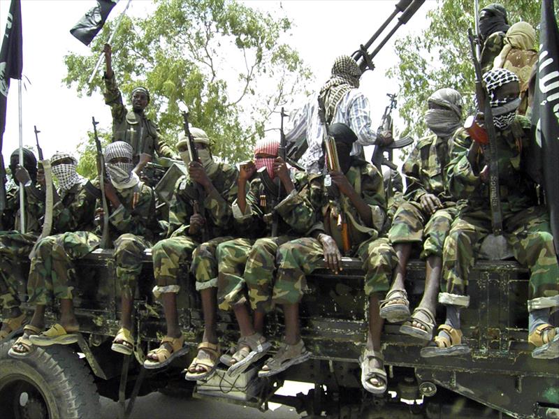130 عنصرًا من «بوكو حرام» في النيجر يسلمون أسلحتهم