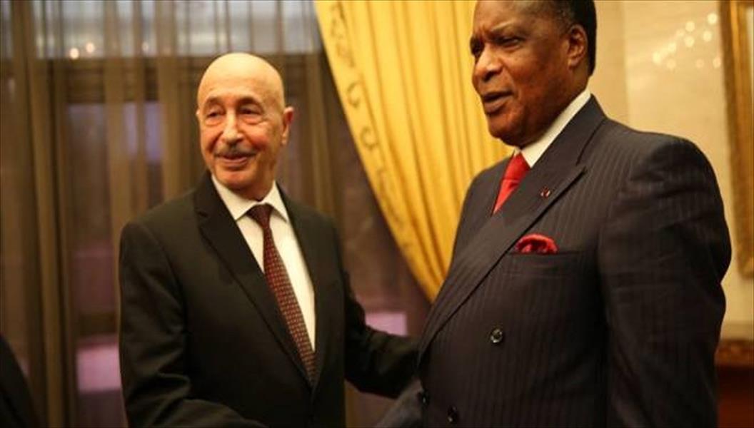 عقيلة صالح يلتقي رئيس اللجنة الأفريقية المعنية بليبيا