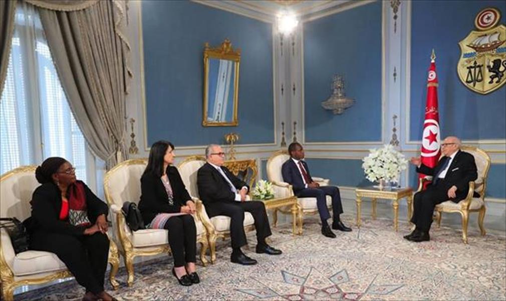 السبسي يؤكد حرص تونس على تعزيز التعاون مع الدول الأفريقية