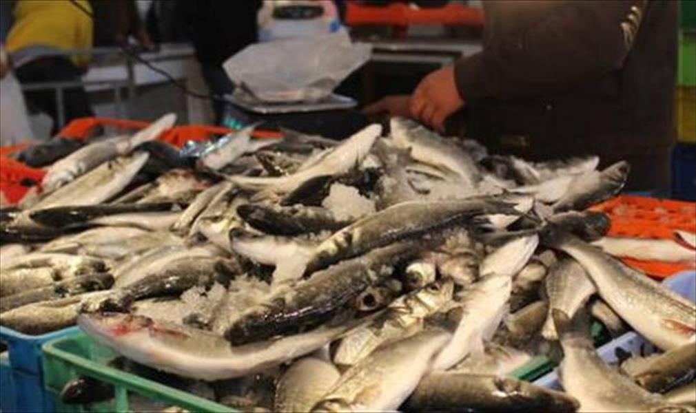 الأجهزة الأمنية بمعبر رأس إجدير تحظر تصدير السمك إلى الجانب التونسي