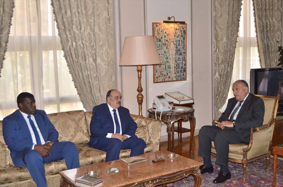 شلبي لـ«الوسط»: البرلمان العربي يدعم جهود دول الجوار لحل الأزمة الليبية