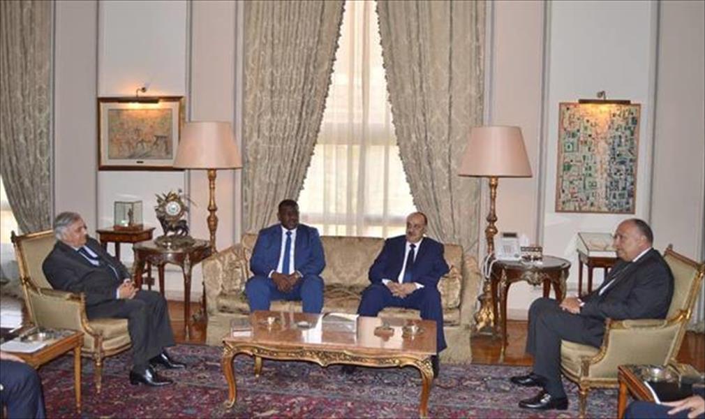 شلبي لـ«الوسط»: البرلمان العربي يدعم جهود دول الجوار لحل الأزمة الليبية