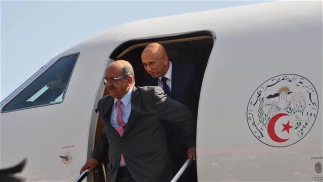 مساهل من الزنتان: الجزائر لا تريد تكرار «العشرية السوداء» في ليبيا