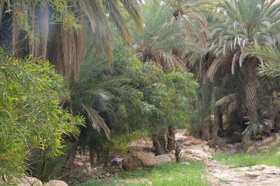 بلدية غريان تبدأ تجهيز متنزه أبو غيلان