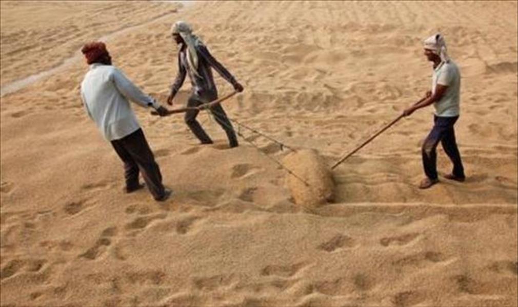 مصر تتعاقد مع الهند على شراء 2‭‬0 ألف طن أرز