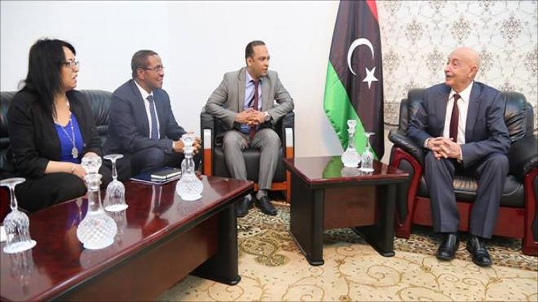 عقيلة صالح يلتقي مبعوث الاتحاد الأفريقي الخاص إلى ليبيا في القبة