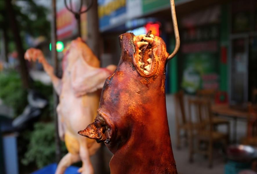 الصين تحظر أكل لحم الكلاب