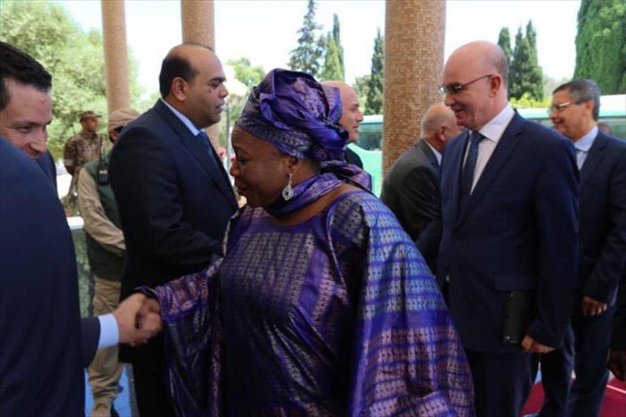 عقيلة صالح يستقبل وفد اللجنة الأفريقية رفيعة المستوى حول ليبيا