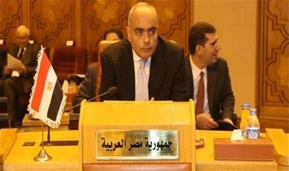 مصر تطالب مجلس الأمن بـ«نزع» الألغام ومخلفات الحروب من على أراضيها