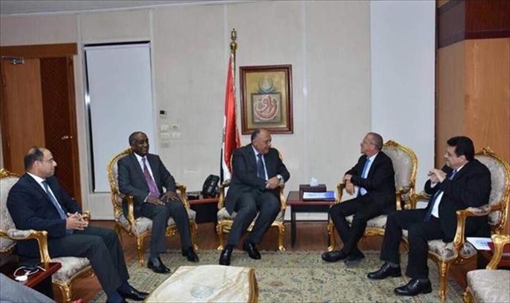 وزير الخارجية المصري يستقبل مارتن كوبلر في القاهرة