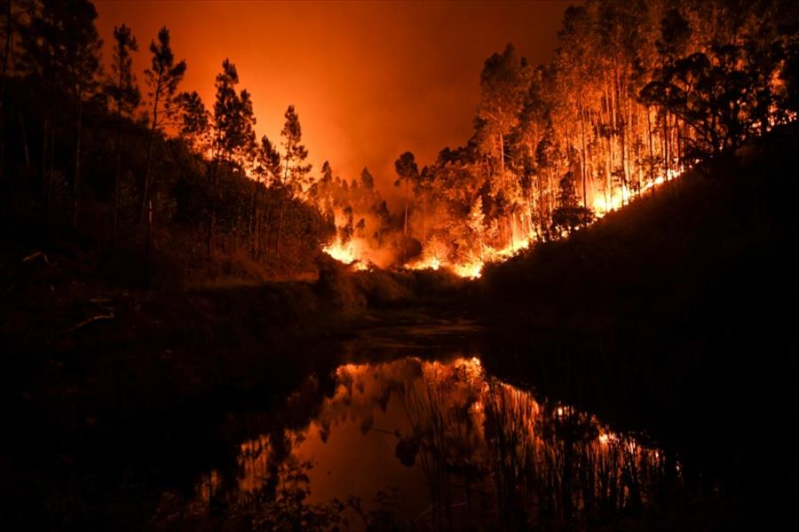 حرائق غابات ضخمة تجتاح وسط البرتغال وتخلّف 62 قتيلاً
