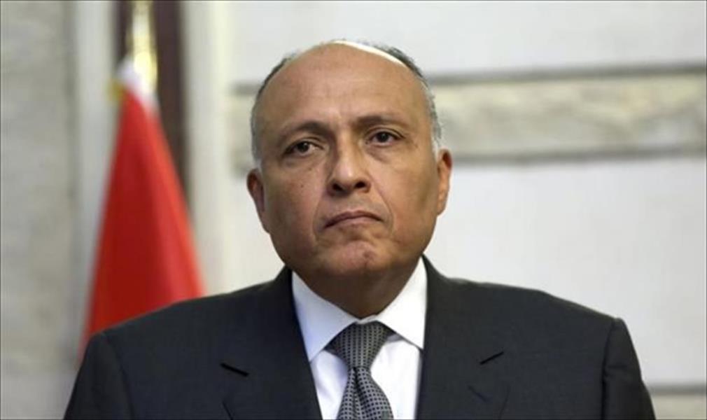 وزير الخارجية المصري يشارك في اجتماعات التمهيد للقمة الأفريقية