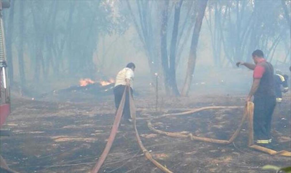 «السلامة الوطنية»: إخماد 65 % من حريق معسكر 27 والغابة بورشفانة