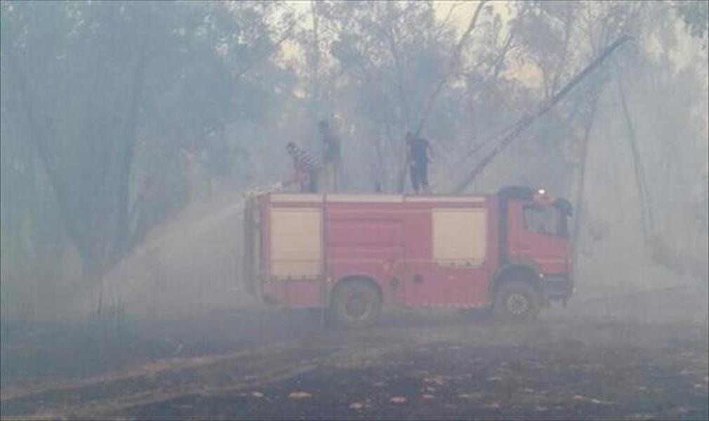 «السلامة الوطنية»: إخماد 65 % من حريق معسكر 27 والغابة بورشفانة