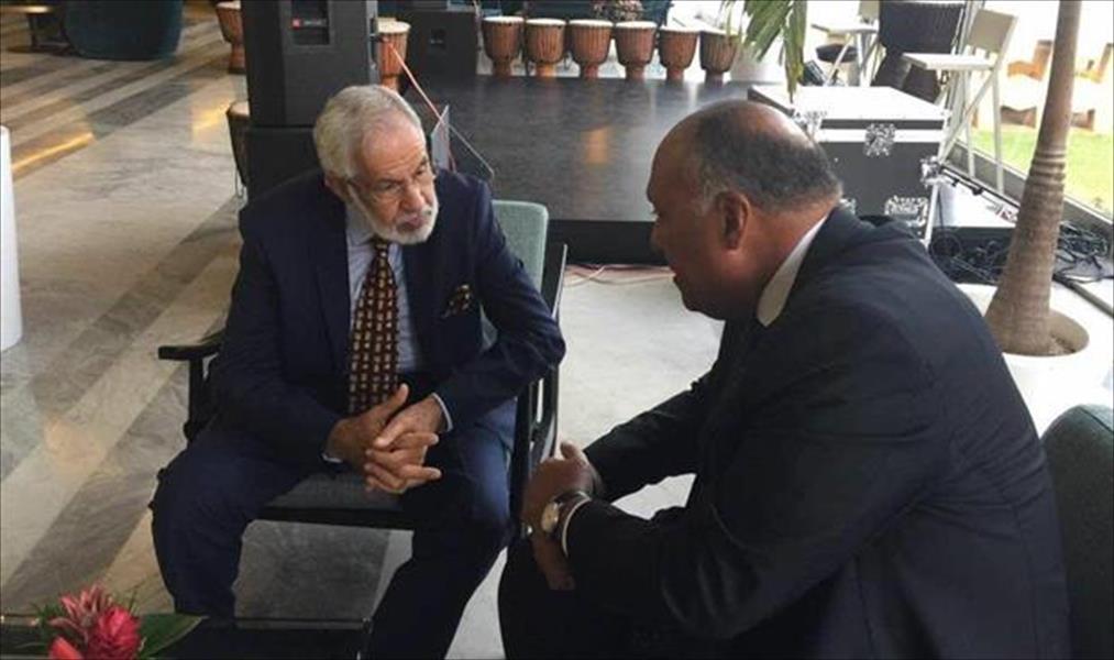 وزير خارجية مصر: اتفاق الصخيرات أساس استعادة الاستقرار وتفعيل دور المؤسسات الليبية