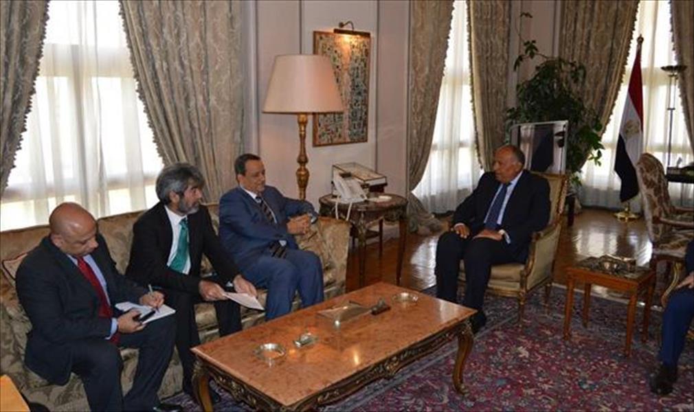 مصر تؤكد مساندتها جهود الأمم المتحدة بشأن التوصل لتسوية للأزمة اليمنية