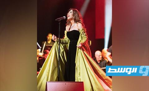 نجوى كرم تلقت انتقادات لاذعة على فستاناها بسبب شكل أكمامه (الإنترنت)