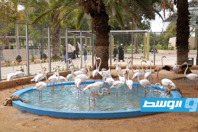 Pictures: Crowds gather for the opening of the Tripoli Zoo