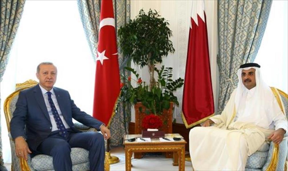 إردوغان: اتصالاتنا ساهمت في التهدئة بين قطر و«رباعي المقاطعة»