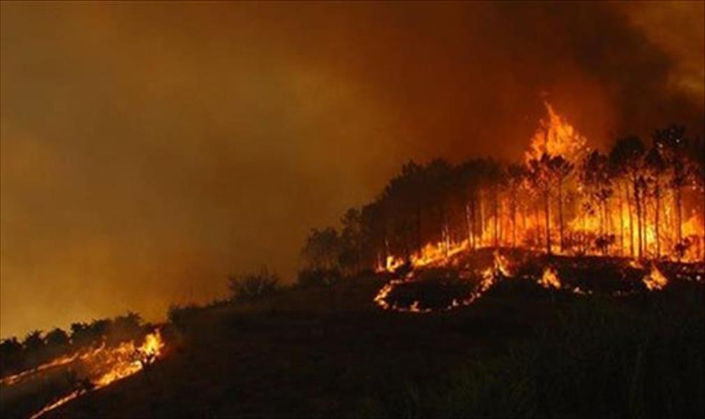 حرائق الغابات تقضي على 2000 هكتار في تونس