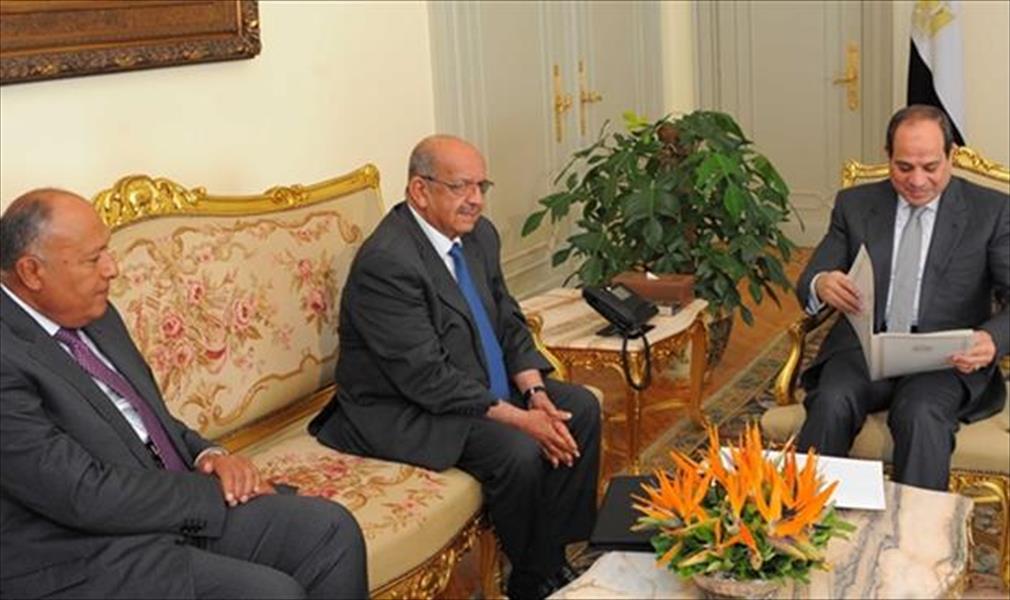 السيسي: تعاون مصري ـ جزائري لاستعادة الاستقرار في ليبيا