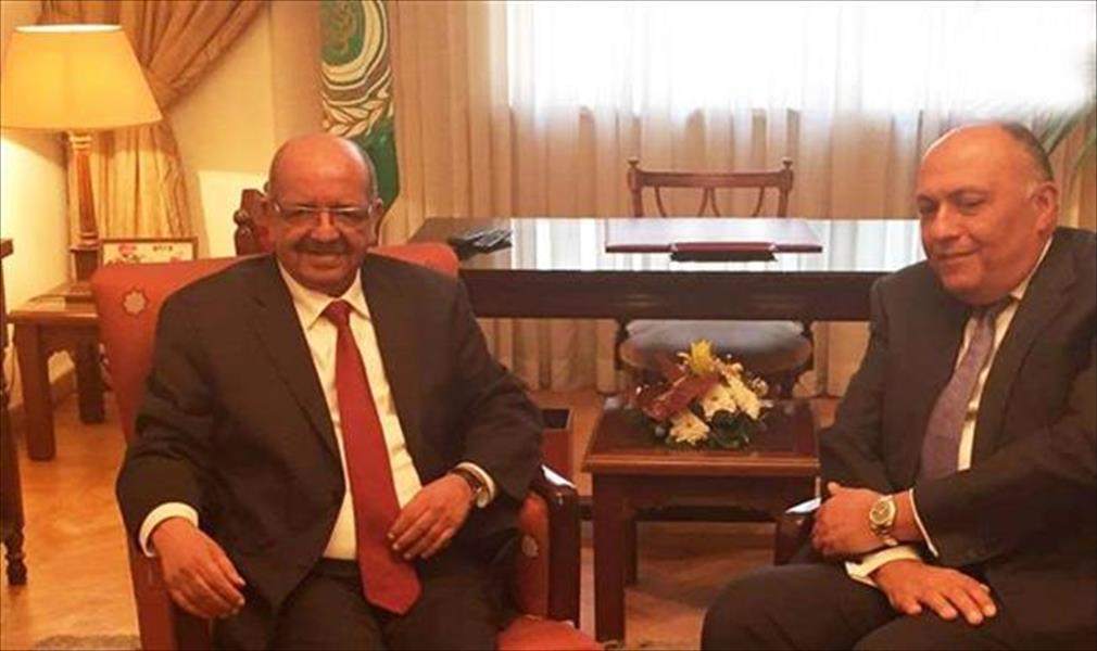 اتفاق جزائري - مصري على آلية لتبادل المعلومات حول ليبيا