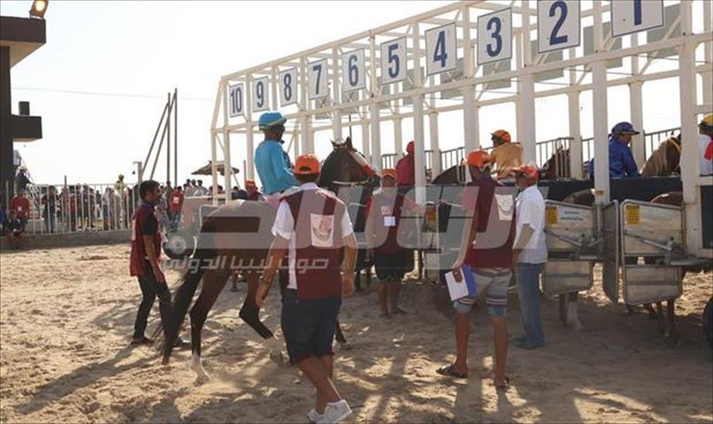 نادي فروسية زوارة يطلق البطولة الأولى لسباق خيول ليبيا