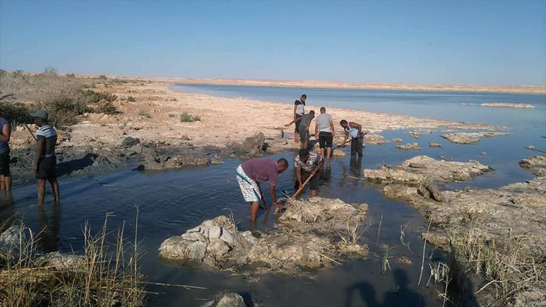 شباب واحة الجغبوب يطلق حملة لتنظيف بحيرة الملفا (صور)