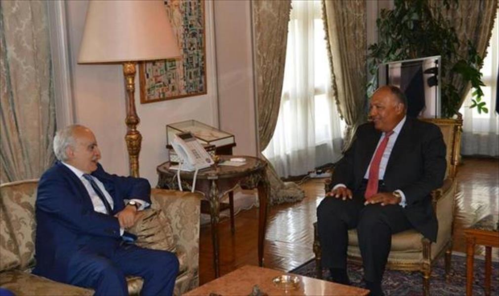 وزير الخارجية المصري يبحث تسوية الأزمة الليبية مع غسان سلامة