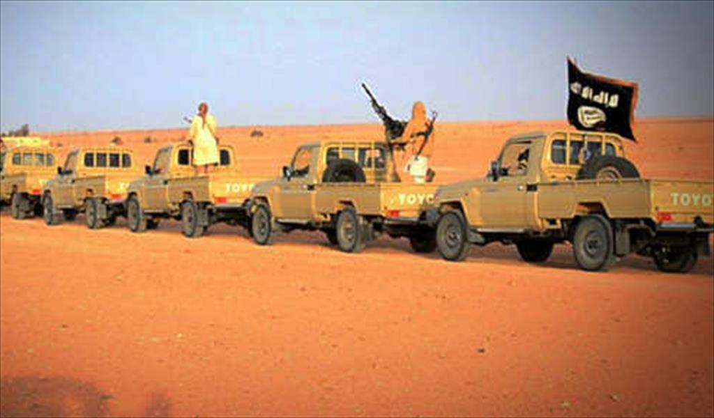 أربع سيارات لـ«داعش» تتجول بمنطقة أم الخنفس قرب النوفلية