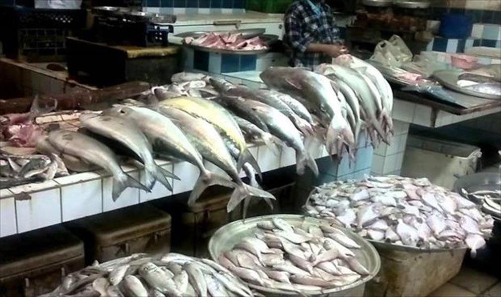 مصر تمدد الرسوم المفروضة على صادرات الأسماك لمدة عام
