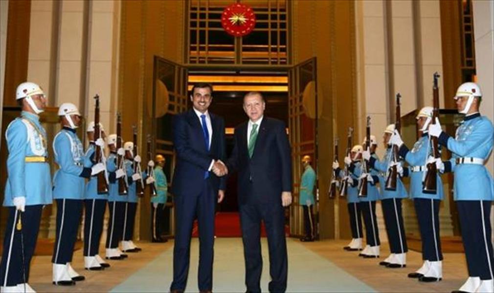 أمير قطر يلتقي إردوغان في جولة خارجية تشمل ألمانيا وفرنسا