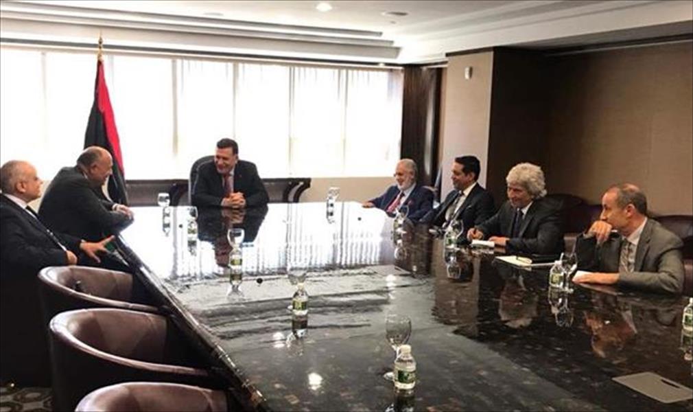 سامح شكري: الرئيس السيسي يأمل لقاء السراج قريبًا في القاهرة
