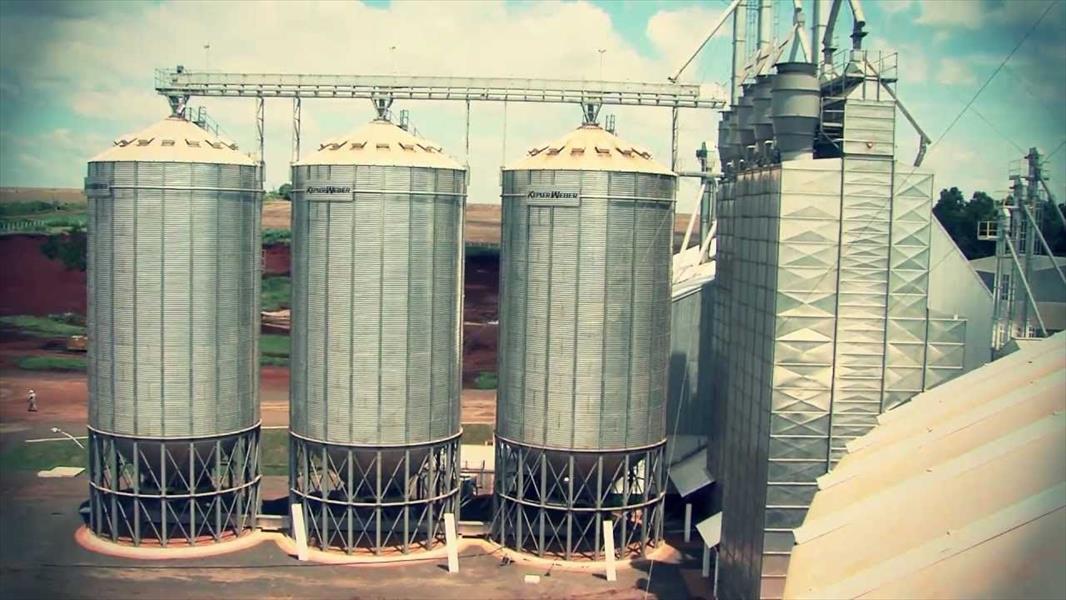«بلومبرغ جرين» تنفق 150 مليون دولار لمشروع تخزين الحبوب في مصر