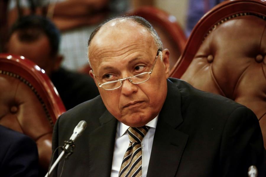 وزيرا خارجية مصر والأردن يبحثان تطورات الأوضاع العربية