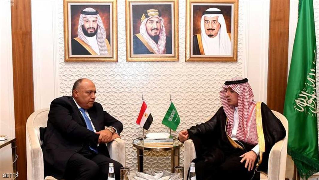 وزيرا خارجيتي مصر والسعودية يستعرضان تطورات ملف سد النهضة