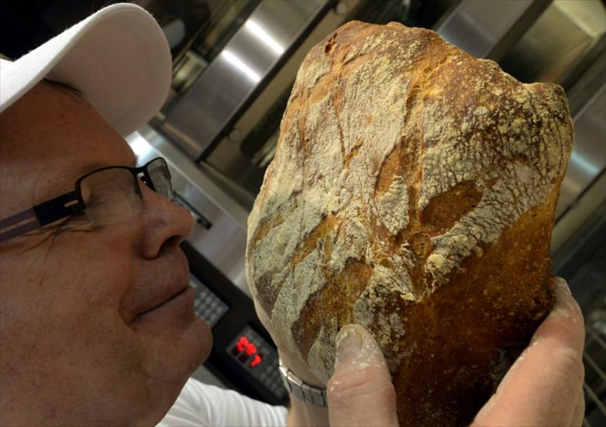 فنلندا تسويق أول خبز بالحشرات 