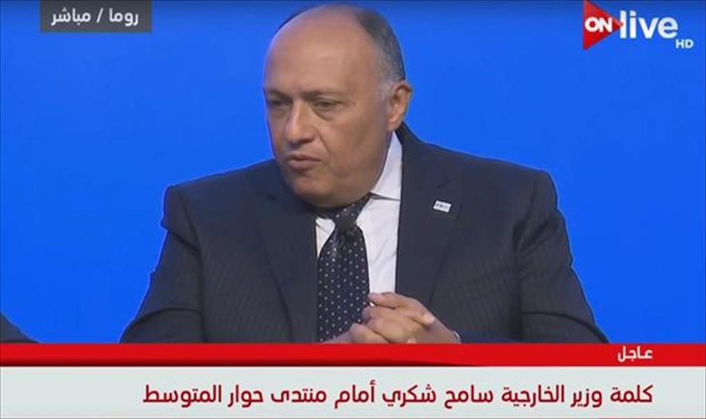شكري: معاونة مصر دوليًا في حربها ضد الإرهاب يغير الموقف بالمنطقة (فيديو)