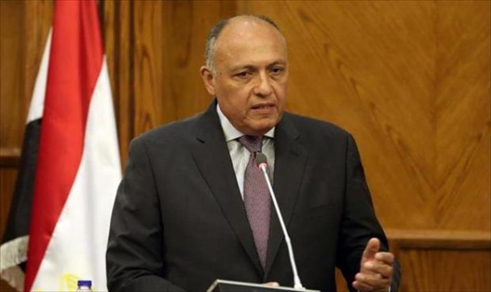 وزير الخارجية المصري: القانون لا يمنع أحدًا من الترشح للانتخابات الرئاسية
