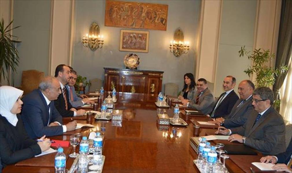 شكري يلتقي أعضاء المكتب الرئاسي للهيئة العليا للتفاوض السورية