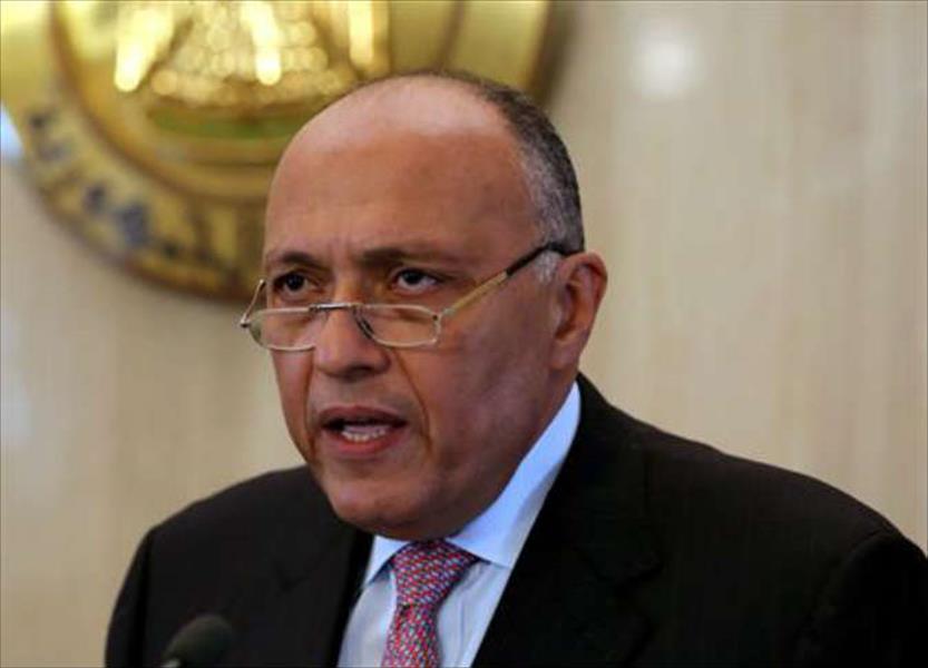 رئيس وزراء إثيوبيا يصل مصر للقاء سامح شكري