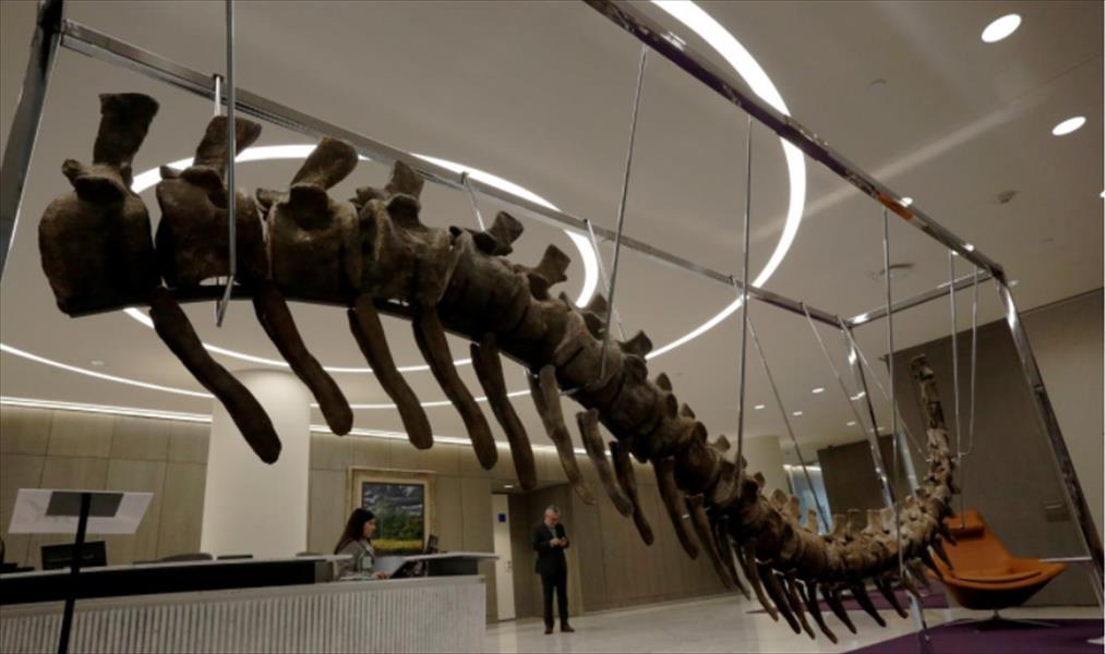 بيع ذيل ديناصور في مزاد لإعمار المكسيك
