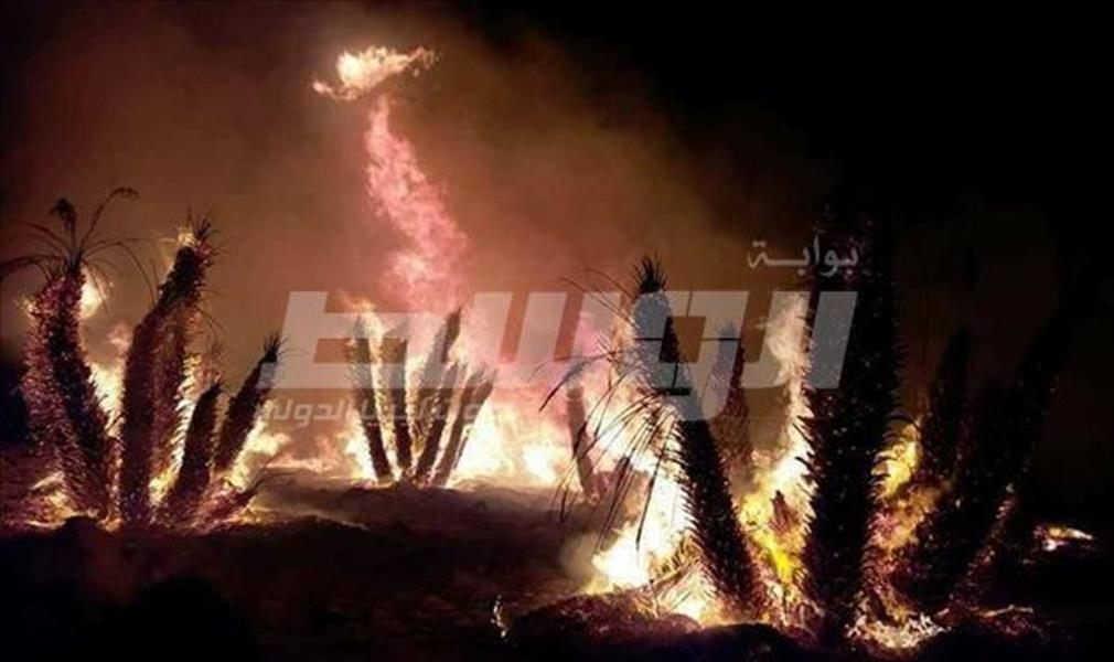 السيطرة على حريق شبَّ بإحدى مزارع النخيل بتازربو