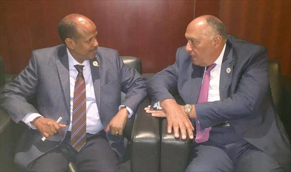 وزيرا خارجية مصر وجيبوتي يبحثان التعاون الثنائي والقضايا الإقليمية